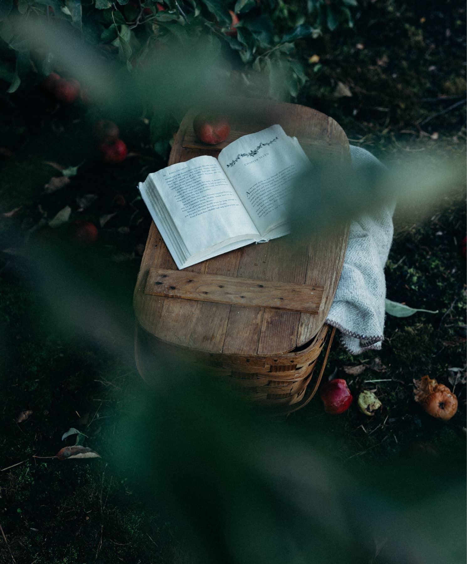 Picknickkorb unter einem Apfelbaum im Herbst mit Buch drauf